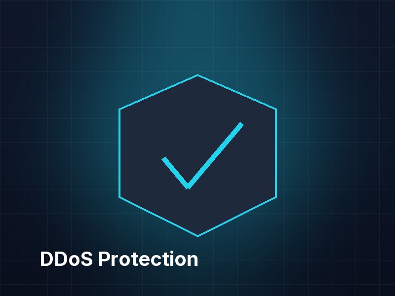 Security and DDoS protection